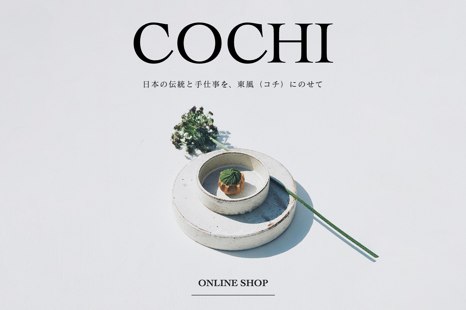COCHI