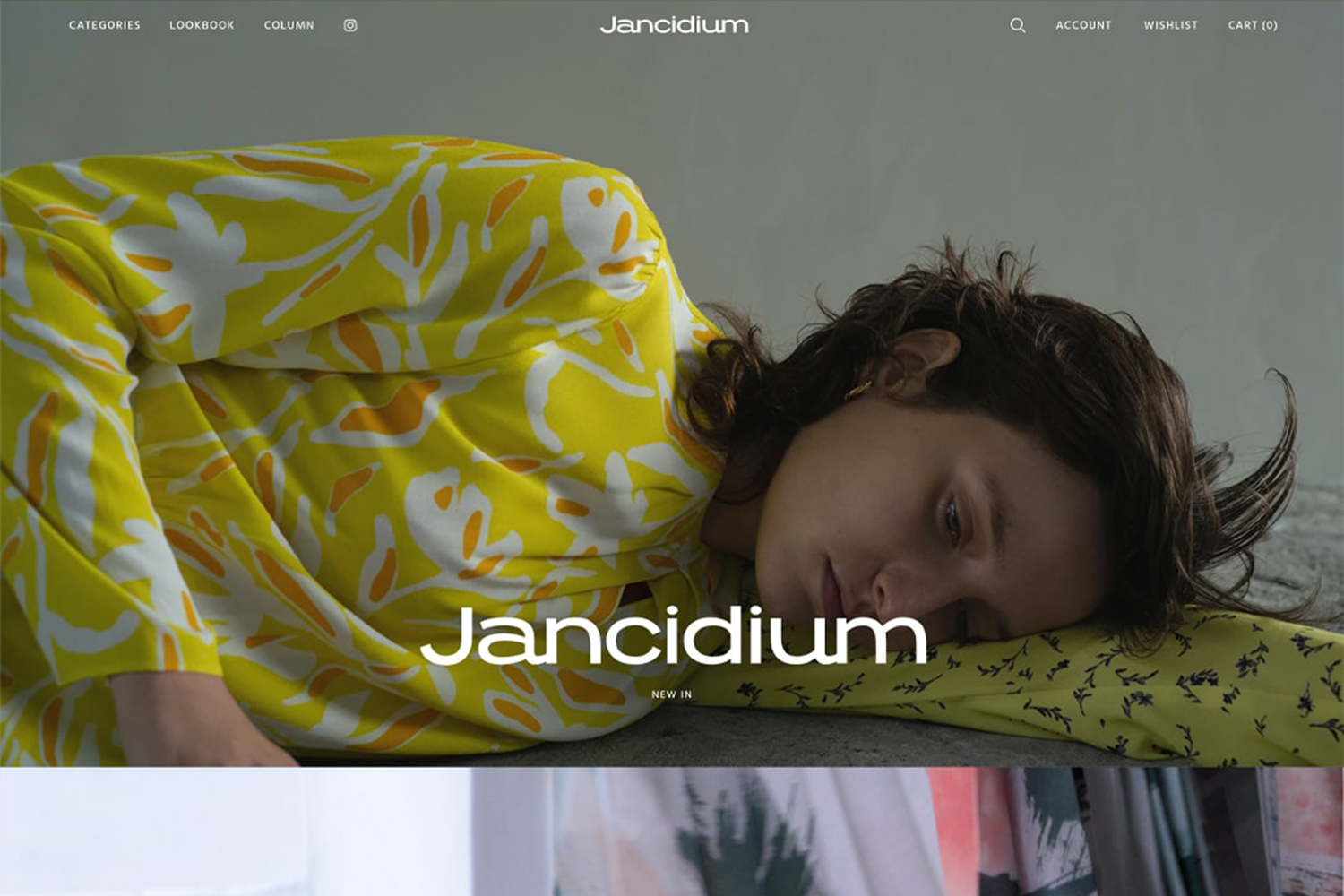 Jancidium